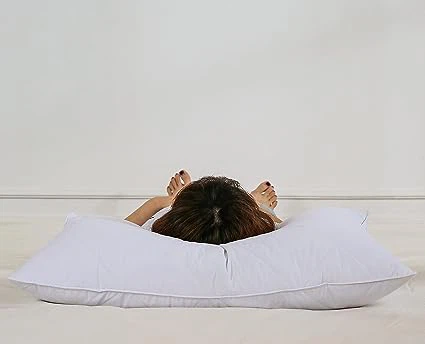 Goose Feather Bed Pillows Goose Feather Bed Pillows