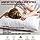 Memory Foam Bed Pillows Memory Foam Bed Pillows