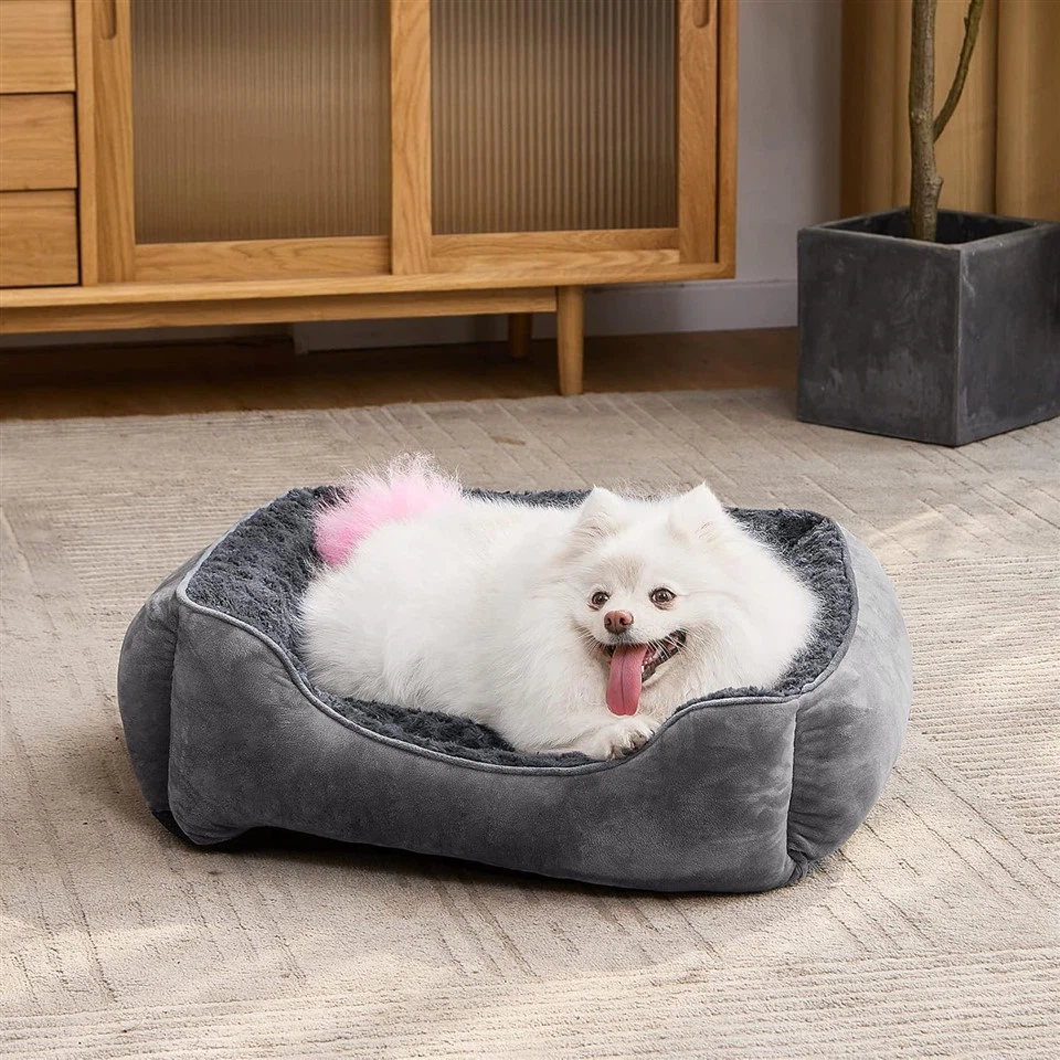 Cat Dog Bed